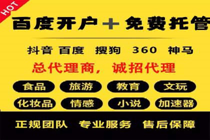 知名SEM运营公司实战案例解析